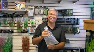 Exotic Aquatic Unboxing for 06/30/2020
