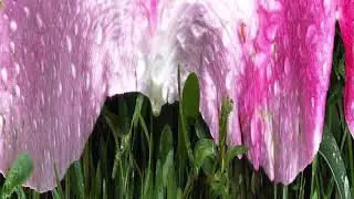 MELODRUMMA // EL FIN DEL ROMANCE