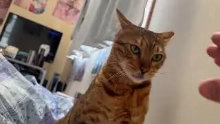 今日のヨメミ62(*≧&forall;≦*)