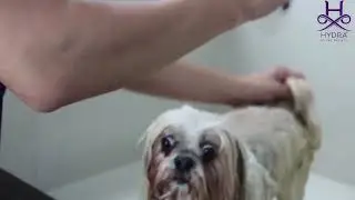 Hydra Groomer&rsquo;s Moisturizing Shampoo &ndash; Hydration for Professional Pet Grooming!
