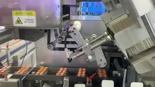 LEBAL Vials Packaging line - Labeling, VVM, Cartoning sample video
