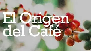 El Origen del Caf&eacute;