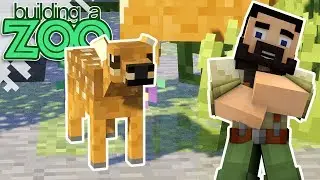 I'm Building A Zoo In Minecraft! - So Cute! - EP25