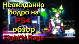 Неожиданно бодро на PS4 &ndash; обзор Fight'N Rage