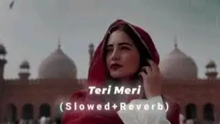 Teri Meri Ek Jindagi❤️‍🩹 | Romantic Hindi Song🎀 | Heart Touching Love🫂 | new Bollywood Hindi songs 🤕