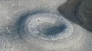 Ammonite Pavement Lyme Regis - The Fossil Graveyard