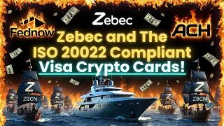 The Zebec and Visa Crypto Cards That Nobody Is Talking About!