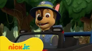 دوريات المخلاب | دوريات المخلاب ينقذون النحام | Nick Jr. Arabia