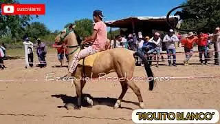 Chavito vs Piquito Blanco