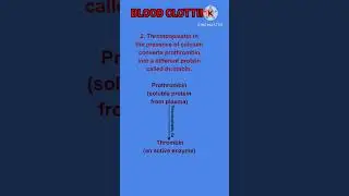 BLOOD CLOTTING, A COMPLEX BIOCHEMICAL REACTION