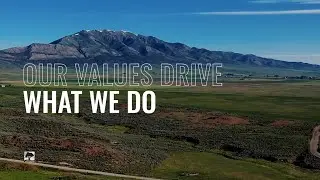 Our Values Drive What We Do