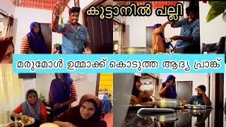 കൂട്ടാനിൽ പല്ലി മരുമകൾ ഉമ്മാക്ക് കൊടുത്ത ആദ്യ പ്രാങ്ക് 😮😮@noufalftkd2822