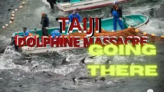 Road Trip: Going to Taiji, where the dolphine mas*cre happens every year