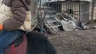 美女小姐姐学骑马，90厘米小矮马托不动总是把人甩下来太好笑了 #小矮马 #刘大刚的养马日常 #骑马