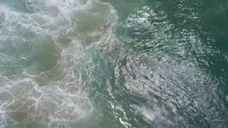 Uso de drone em salvamento aqu&aacute;tico