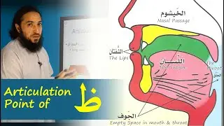 Articulation Point (Makhraj) of Z_aa ( ظ ) | Lesson 17