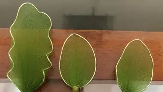 Tutorial 10: How to make leaves