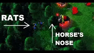 Warcraft 3 TFT | Rats digging tunnel right under horse's nose