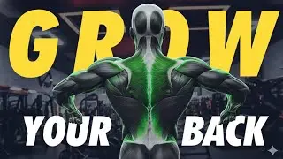 back workout at home with dumbbells