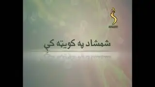 Quetta University Pashto Department