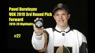 Pavel Dorofeyev (Golden Knights Prospect) 2019-20 season highlights