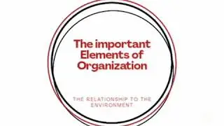 5 Elements of organization