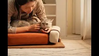 Cat Chaise Lounge &ndash; Iceberg Series | Modern Cat Sofa & Cozy Pet Bed by Weimiao