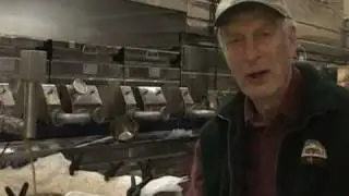 Fortune Farms Ontario Maple Syrup 2011