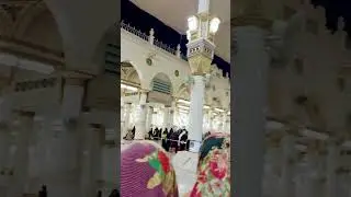 #shorts : Riyadul jannah #madina #madinashareef #umrah2023 #umrah #umrahdiaries  #niksajdiaries