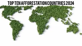 Top ten largest Afforestation countries in the World #forest #farmer #development #tree #water #rain