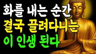 어떤 상황에서도 화를 다스리는 단 한 가지 방법!   부처님말씀   인생조언   불교명언   석가모니