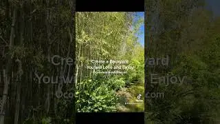Free Privacy Plant Design - Text A Picture Of Your Area to 407-777-4807 - Tall Fast Growing Privacy