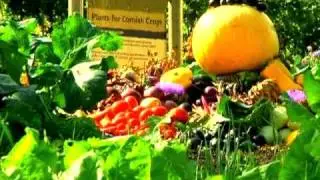 Eden Project: growing Cornish crops and local plants