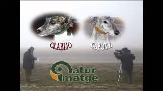 Clabijo vs Capote primera parte