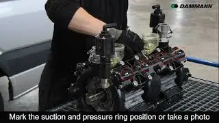 DAMMANN Repair Piston diaphragm pump Disassembly 21 EN