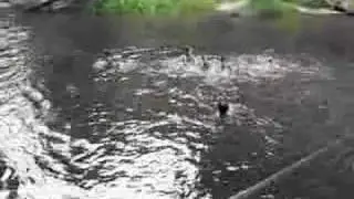 Valley of the 1000 Lingas