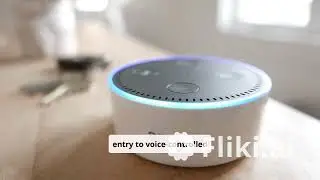 &ldquo;Smart Choices: The Top 3 Amazon Echo Dot Variants&rdquo;