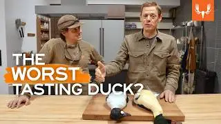 What's the Worst Tasting Duck? | With Steven Rinella | MeatEater
