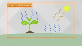 Dew point vs relative humidity