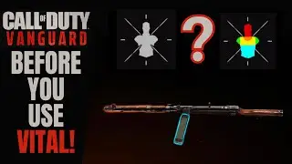 All you need to know about the Vital proficiency! Vanguard & Warzone Vital Proficiency EXPLAINED!!