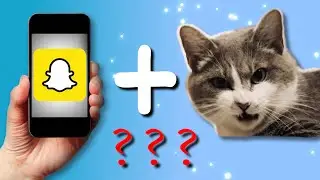 Снапчат и КОШКА | Snapchat Cat [Это вышло СЛУЧАЙНО!]