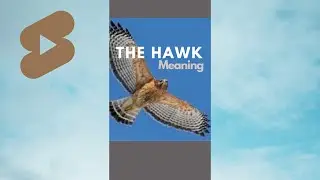 The HAWK Spirit Guide Meaning