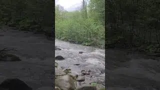 Весна река Чвижепсе Сочи