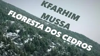 Gruta Kfarhim, Castelo de Mussa, Floresta dos Cedros. L&iacute;bano.