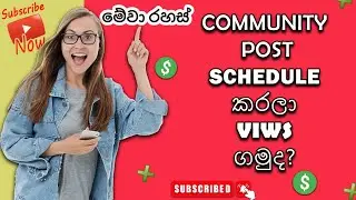 How to Schedule YouTube Community Posts I community post schedule I youtube community post sinhala
