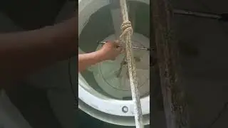 Using Rope to Remove Jammed Washing Machine Pulsator #shorts