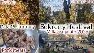 Celebrate sekrenyi festival //village update//climbing Bamboo games