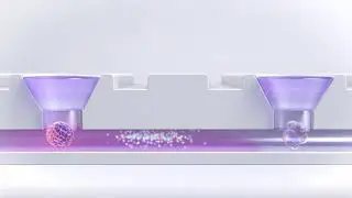Multi-tissue organ networks in vitro | Akura&trade; Flow