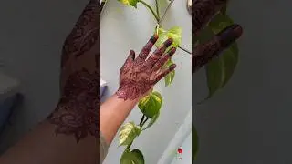 rose flower mehendi designs #shorts #mehndi #henna #rosemehndidesigns #trending #reel #viral #art