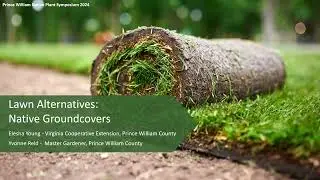 Native Ground Cover Alternatives to Lawn with Elesha Young & Yvonne Reid